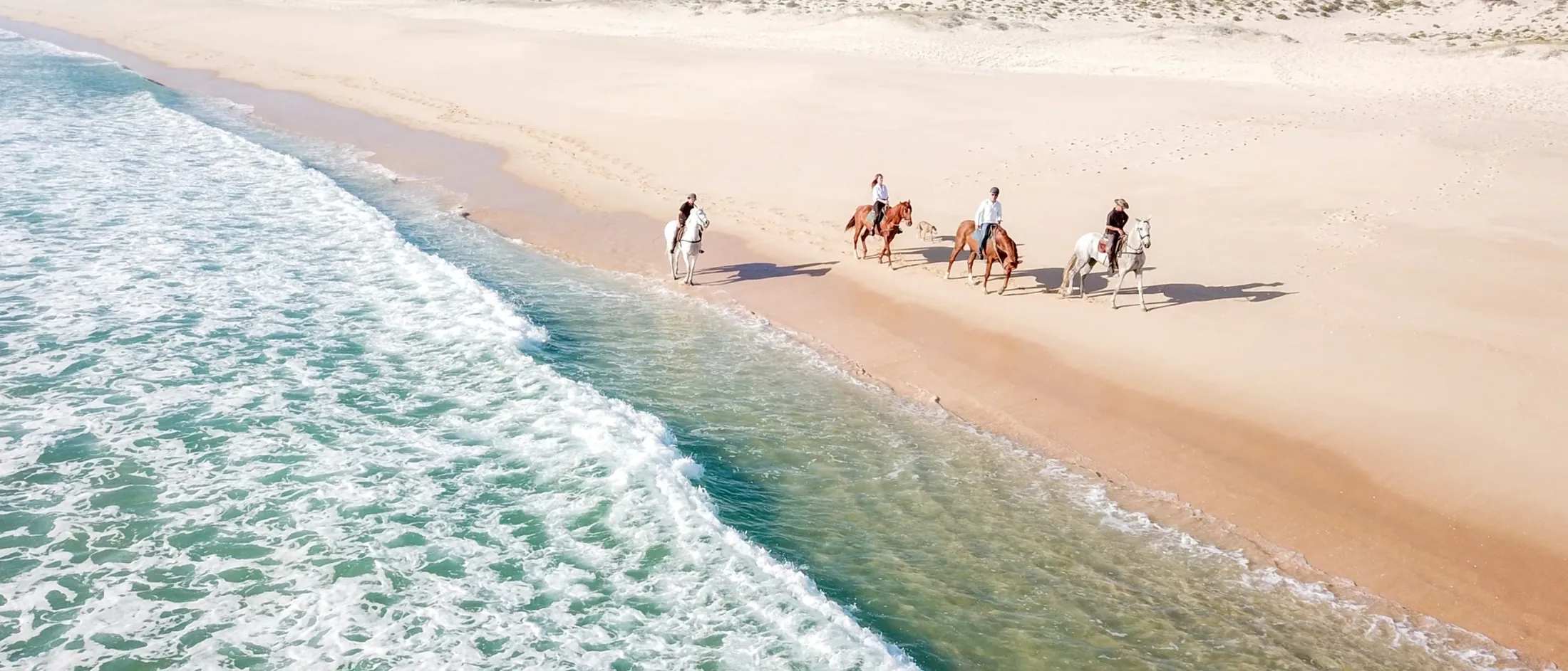 Comporta