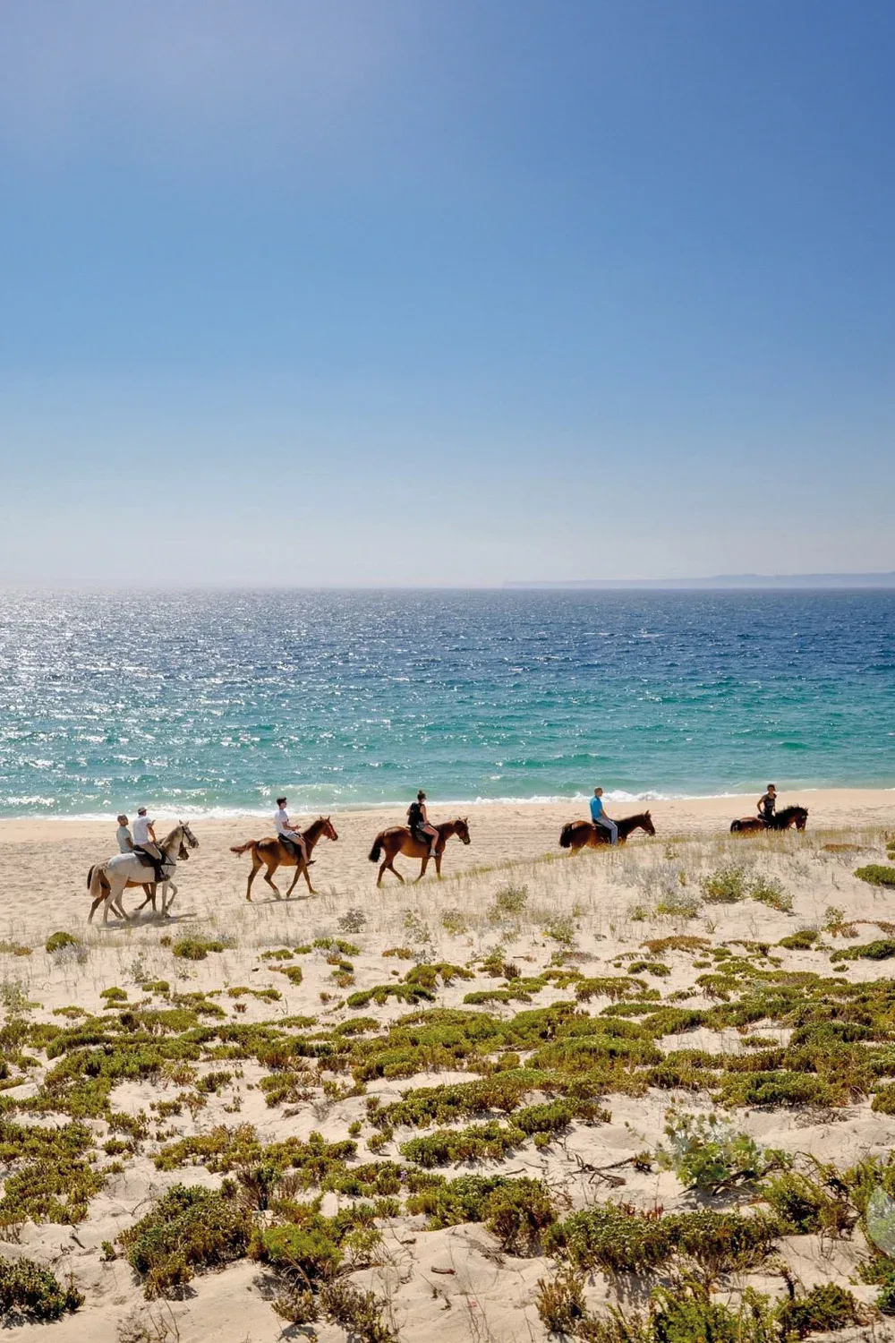 Cavalli e dune, il passo lento di Comporta