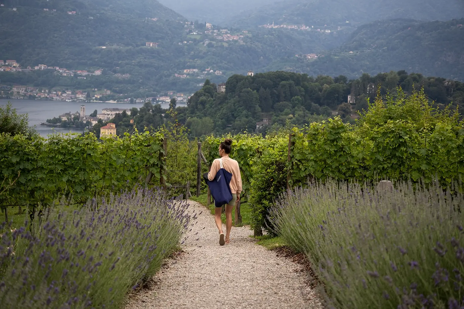 La Darbia — il viale di lavanda verso il lago