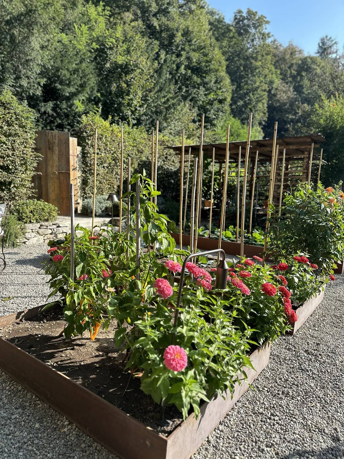 La Darbia — fiori e ortaggi nelle aiuole rialzate