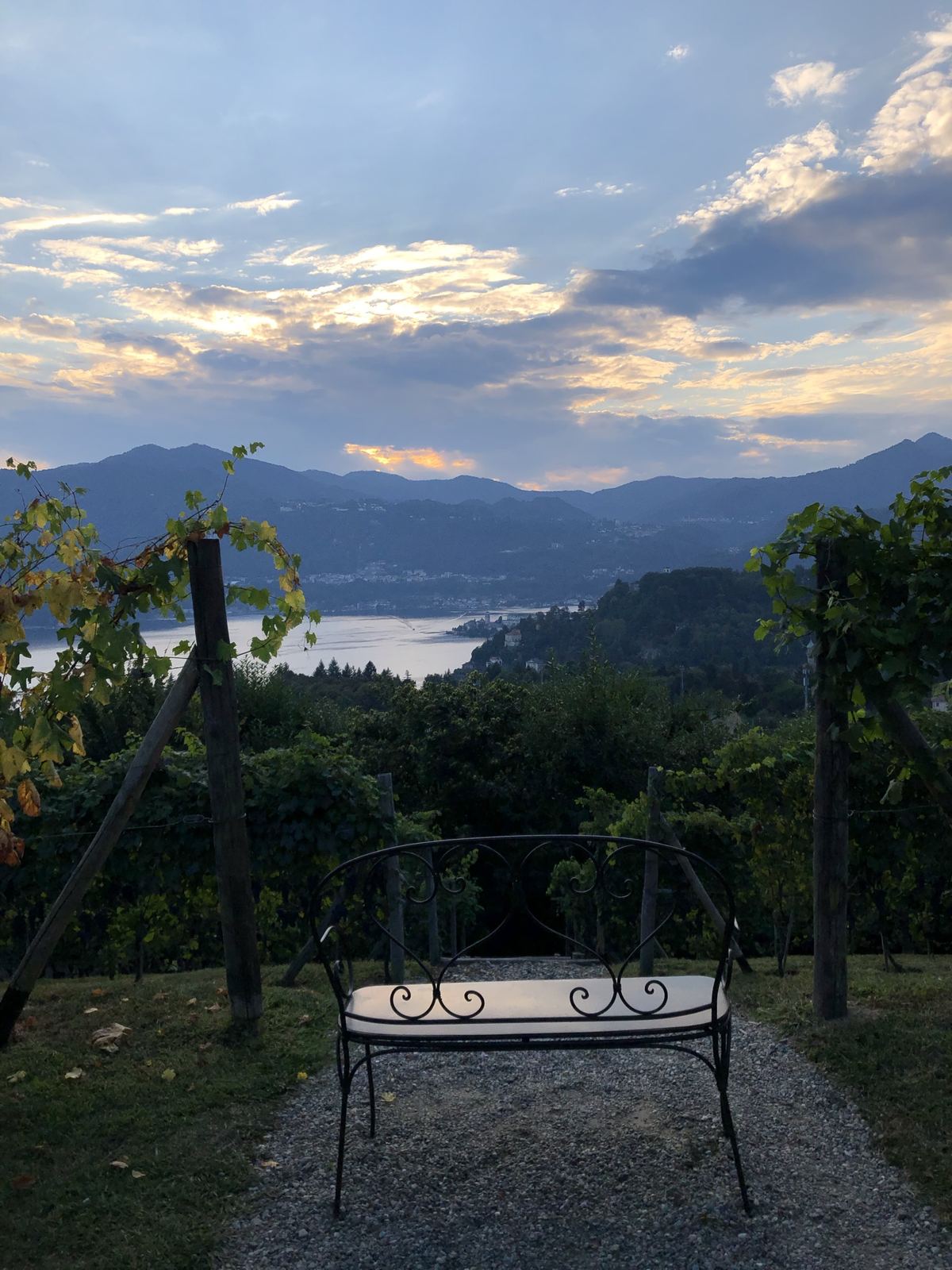 La Darbia — una panchina tra le viti affacciata sul lago