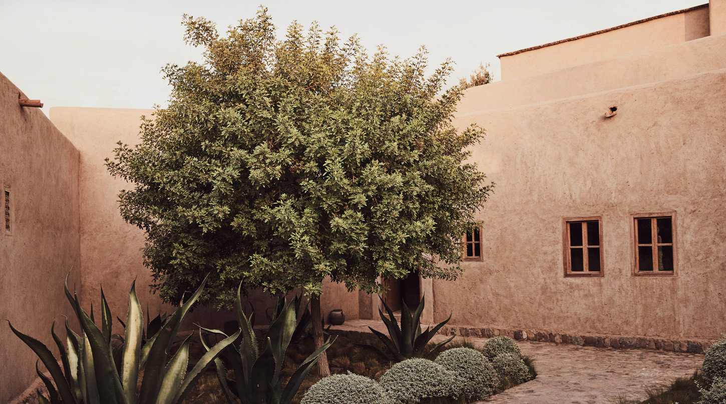Berber Lodge — corte in terra cruda con un albero e piante grasse