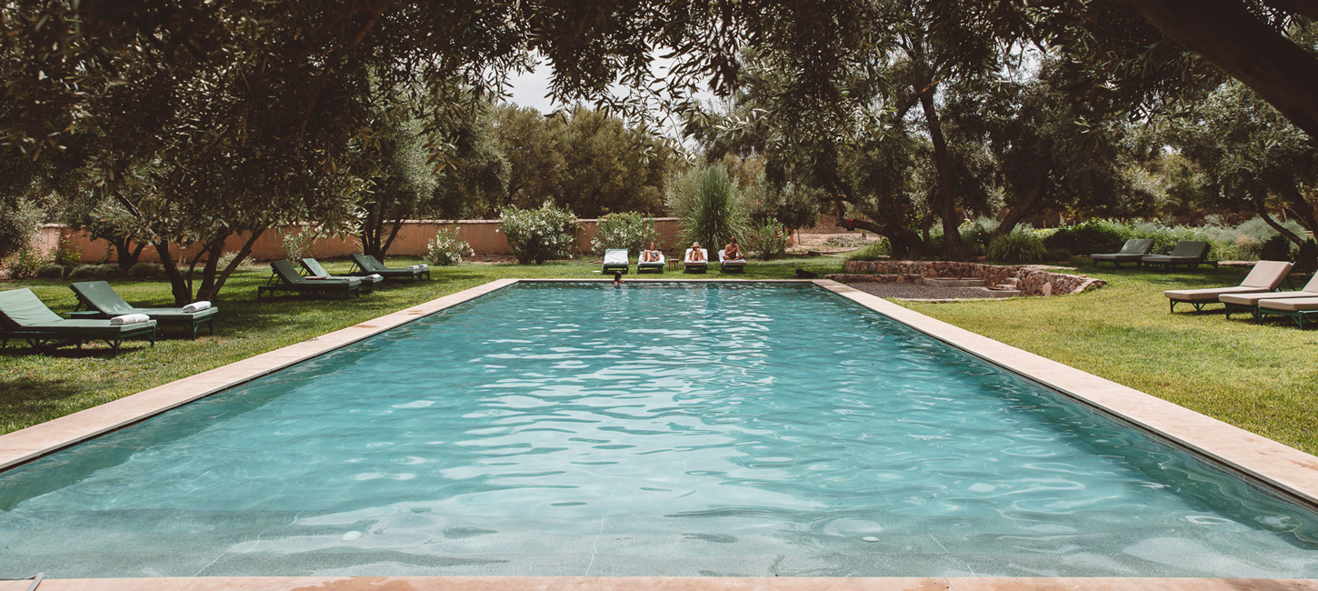 Berber Lodge — la piscina di venti metri tra gli ulivi