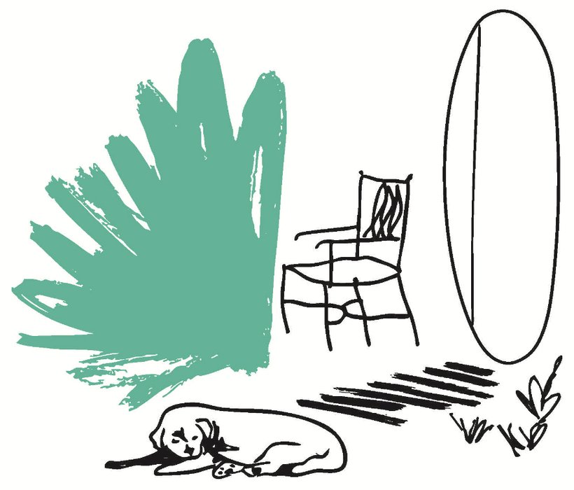 Illustrazione dedicata — dettagli d'arredo e interni