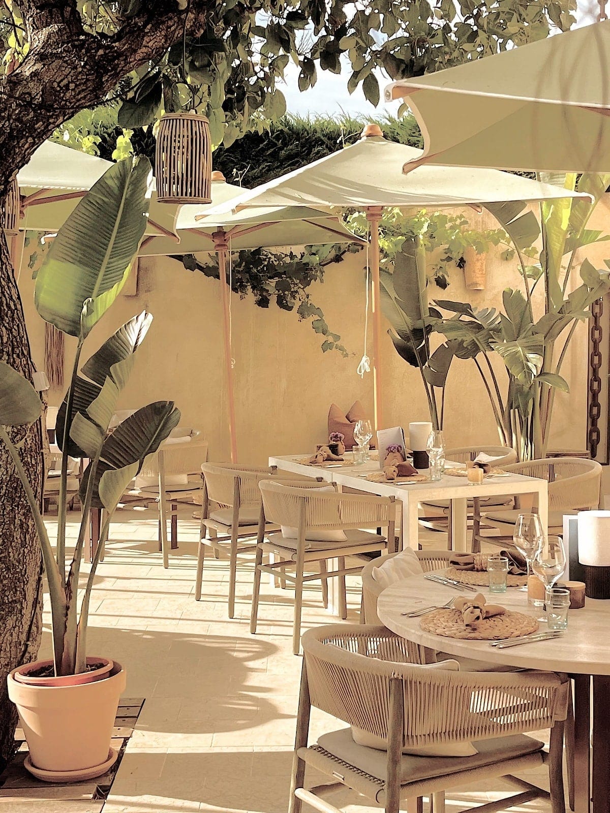 Toile Blanche — the restaurant tables under the pergola