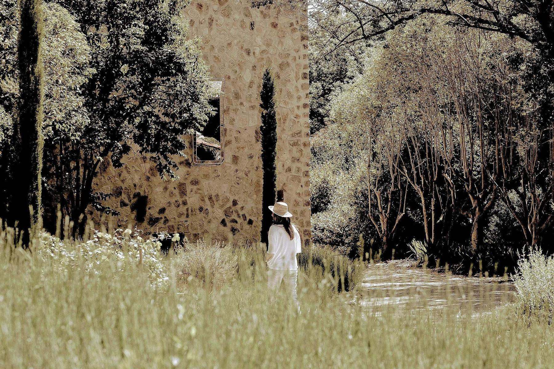 Toile Blanche — the gardens among olive trees and tall grass